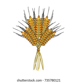 wheat ears icon image