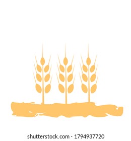 Weizenähren-Symbol oder Etikett einzeln auf weißem Hintergrund, Vektorgrafik. Flaches Design.