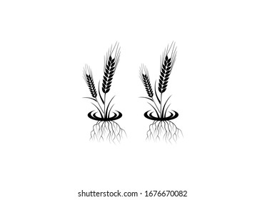 Weizenähren-Symbol und Logo. Für Identitätsstil von Natural Product Company und Farm Company. Landwirtschaftliche Symbole einzeln auf weißem Hintergrund.