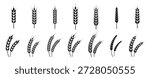Wheat ears icon set. Wheat logo. Grain spikes set icons.Grain icon. Agriculture symbol. vector illustration