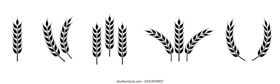 Wheat ears icon set. Wheat logo. Grain spikes set icons.Grain icon. Agriculture symbol. vector illustration