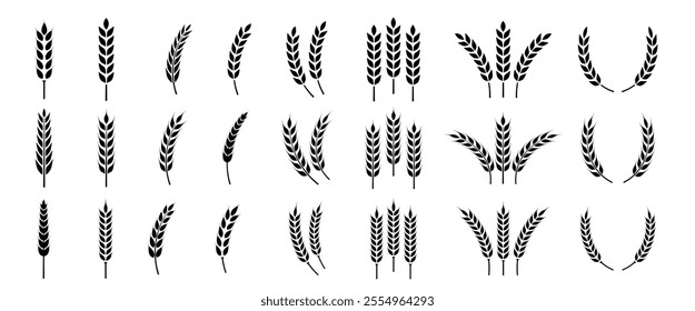 Wheat ears icon set. Wheat logo. Grain spikes set icons.Grain icon. Agriculture symbol. vector illustration