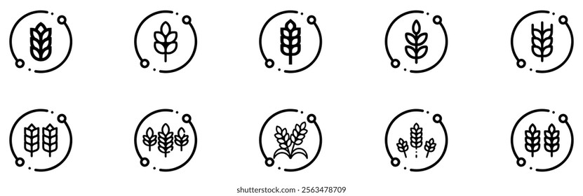 Wheat ears icon set. Wheat logo. Grain spikes set icons.Grain icon. Agriculture symbol. Vector Illustration. EPS 10