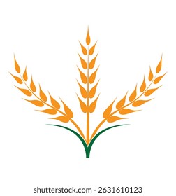 Conjunto de ícones de orelhas de trigo. Logotipo do trigo. Os picos de grãos definem ícones. Ícone Granulado. Símbolo agrícola. ilustração vetorial.