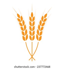 Wheat ears icon or sign. Crop or agricultural symbol isolated on white background. Design element for bread packaging or beer label. Vector illustration. 