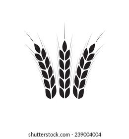 Wheat ears icon or sign. Crop or agricultural symbol isolated on white background. Design element for bread packaging or beer label. Vector illustration. 