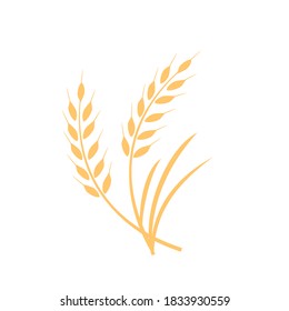 Wheat ears icon sign on white background vector illustration. Flat design vector.