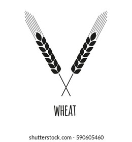 Wheat ears icon. Wheat symbol isolated on white background. Design element.