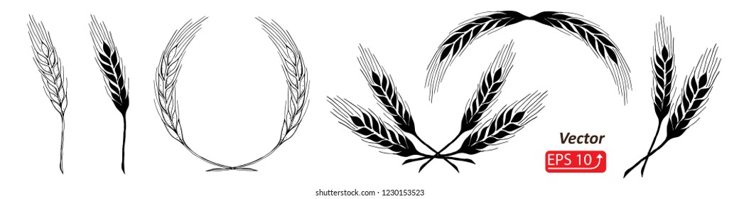 Wheat Ears Icons and Logo Set, black and white, isolated on white background Contour lines. Flat design vector