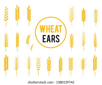 Wheat Ears Icons and Logo Set. For Identity Style of Natural Product Company and Farm Company. Organic wheat, bread agriculture and natural eat. Contour lines.