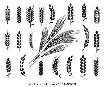 Wheat Ears Icons and Logo Set. For Identity Style of Natural Product Company and Farm Company. Organic wheat, bread agriculture and natural eat. Contour lines. Flat design.