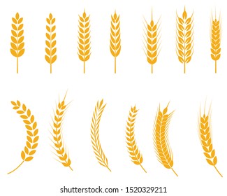 Wheat Ears Icons and Logo Set. rice, wheat, corn, oats, rye, barley. Ears of wheat bread symbols. Organic , agriculture seed, plant and food, natural eat. Vector illustration.