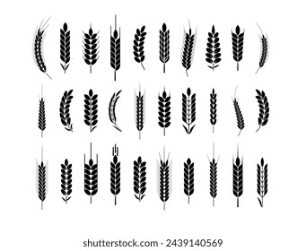 Wheat Ears Icons and Logo Set. For Identity Style. Organic wheat, bread agriculture. Vector