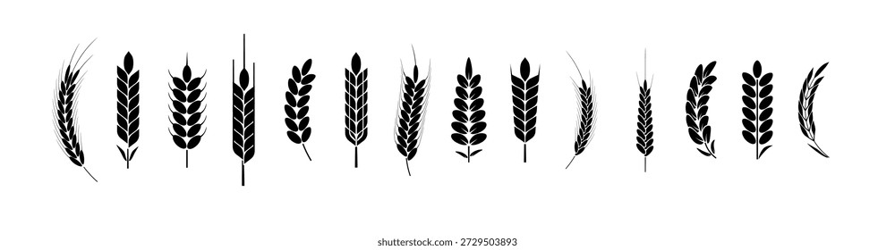 Conjunto de iconos y logotipos de orejas de trigo. Para el estilo de identidad. Trigo orgánico, pan y agricultura. Vector