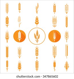 Wheat Ears Icons and Logo Set Natural Product Company and Farm Company Organic wheat, bread agriculture and natural eat. Contour lines, Flat design, Circle icons, Realistic image Vector illustration