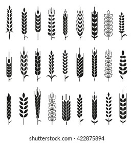 Wheat Ears Icons and Logo Set. For Identity Style of Natural Product Company and Farm Company. Organic wheat, bread agriculture and natural eat. Contour lines. Flat design. 