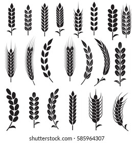 Набор иконок и логотипов пшеничных ушей. За фирменный стиль компании по производству натуральных продуктов и фермерской компании. Органическая пшеница, хлебное хозяйство и натуральное питание. Контурные линии. Плоский дизайн.