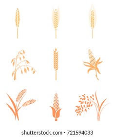 Wheat Ears Icons and Logo Set. Concept for organic products label, harvest and farming, grain, bakery, healthy food. Contour lines. Flat design.