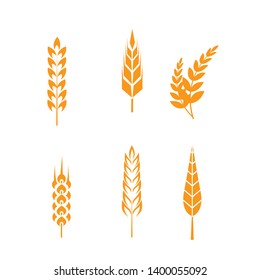 wheat ears icons set. Ear and organic wheat