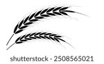 Wheat Ears Icons vector illustration. wheat leaf clipart. Organic wheat icon, bread agriculture. Grains plants and cereal, rye barley and wheat ear spikes. Bakery food concept. cereal plant isolated.