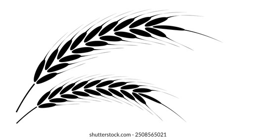 Wheat Ears Icons vector illustration. wheat leaf clipart. Organic wheat icon, bread agriculture. Grains plants and cereal, rye barley and wheat ear spikes. Bakery food concept. cereal plant isolated.