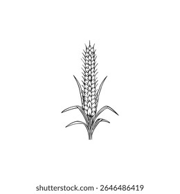Trigo Orelhas ícones ilustração vetorial. clipart de folha de trigo. Ícone de trigo orgânico, panificação. Plantas de cereais e cereais, cevada de centeio e espigas de orelhas de trigo. Conceito de alimento para panificação. planta de cereais isolada