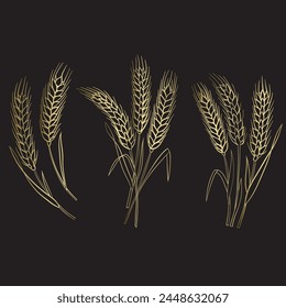 wheat ears isolated on black background