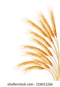 Wheat ears isolated on the white background. EPS 10