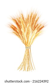 Wheat ears isolated on the white background. EPS 10