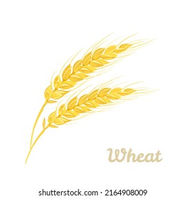 Wheat ears isolated on white background. Vector cartoon flat illustration.