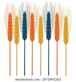 Espigas de trigo aisladas en blanco, colorido, Ilustración vectorial