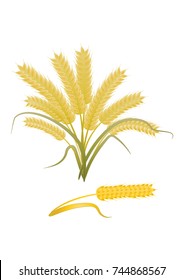 Wheat ears - isolated on white background - art vector