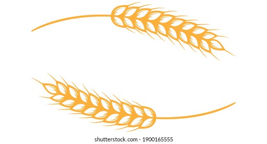 Wheat ears isolated on white.Barley vector icon. Vector illustration.