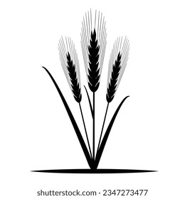 Wheat ears with leaves, vector illustration