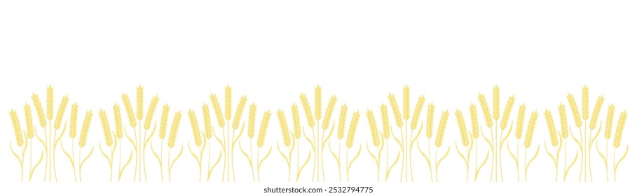 Wheat ears line pattern, border, isolated on white. Vector illustration, decorative element for agriculture, landscape, environment, farm, harvest, natural, healthy, organic, bio, eco food.