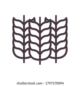 Wheat ears line style icon design, Food grain agriculture natural seed plant organic and corn theme Vector illustration