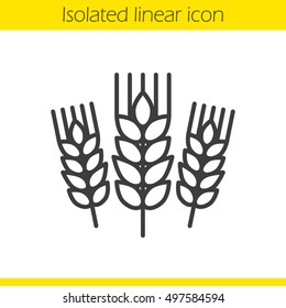 Wheat ears linear icon. Barley thin line illustration. Spikes of rye contour symbol. Vector isolated outline drawing