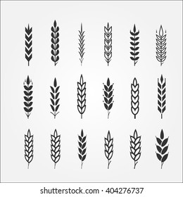 Wheat ears for logo design