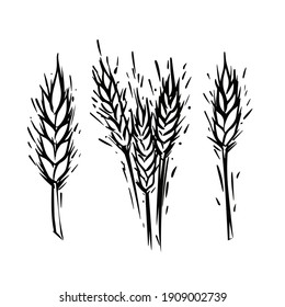 Wheat ears logo set in vector hand drawn style isolated on white background