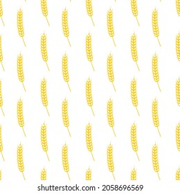 Wheat ears, oats ears or rye ears seamless pattern seamless pattern. Whole grain, natural, organic background for bakery package. Vector background with wheat.