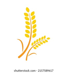 Wheat ears and oats spikes vector illustration. Plant icon.