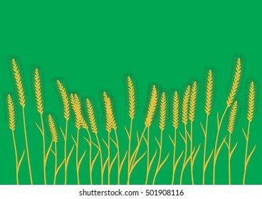 Wheat ears on the green background