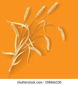 Orejas de trigo sobre fondo naranja.