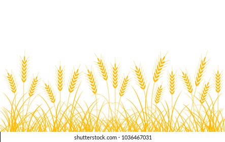 Wheat ears on a white background. Border of wheat ears and stalks.                                                           