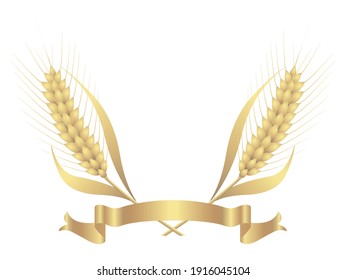 Wheat ears on white background