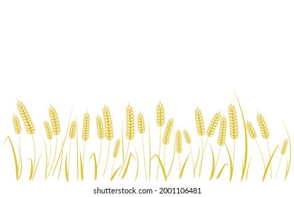 Wheat ears on white background. Vector, illustration