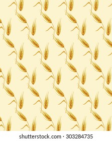 Wheat ears pattern design for labels or decoration. Vector