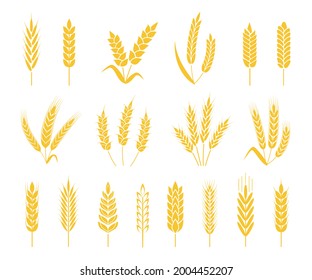 Wheat ears. Rice or barley crops, sheaf of wheat ear, grains and cereals. Organic grain ear, agriculture harvesting, bakery icon vector set. Growth stalks isolated for organic labels