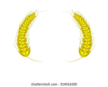 Wheat ears or rice  Design 