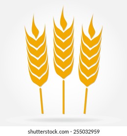 Wheat ears or rice icon. Agricultural symbol isolated on white background. Design element for bread packaging or beer label. Vector illustration.